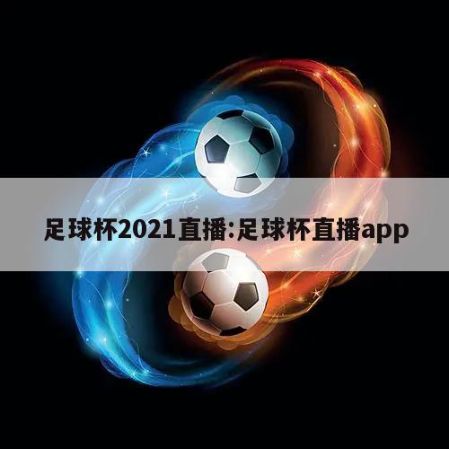 足球杯2021直播:足球杯直播app